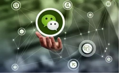 移動(dòng)互聯(lián)時(shí)代下的創(chuàng)新變現(xiàn) 山東創(chuàng)爾科技如何以三大模式撬動(dòng)小程序盈利藍(lán)海